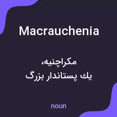معنی macrauchenia به فارسی معنی macrauchenia به فارسی