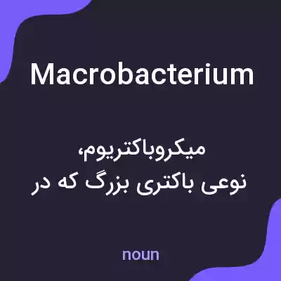 معنی macrobacterium به فارسی معنی macrobacterium به فارسی