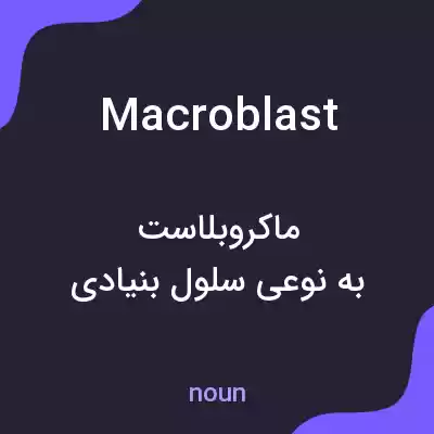 معنی macroblast به فارسی معنی macroblast به فارسی