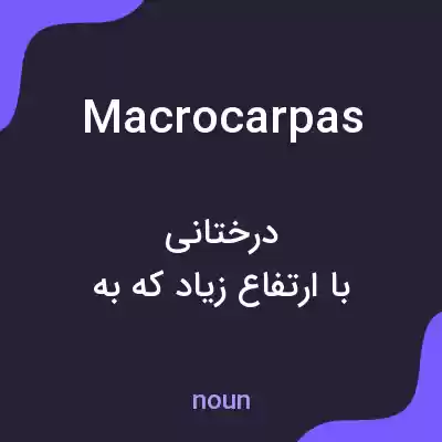 معنی macrocarpas به فارسی معنی macrocarpas به فارسی