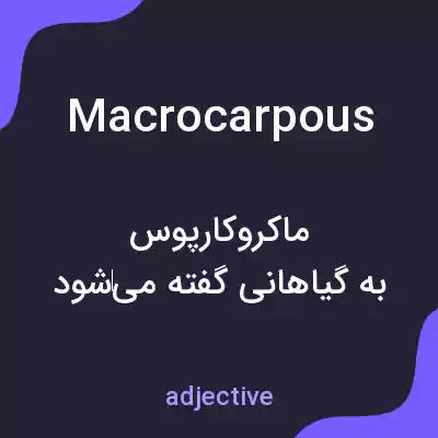 معنی macrocarpous به فارسی معنی macrocarpous به فارسی
