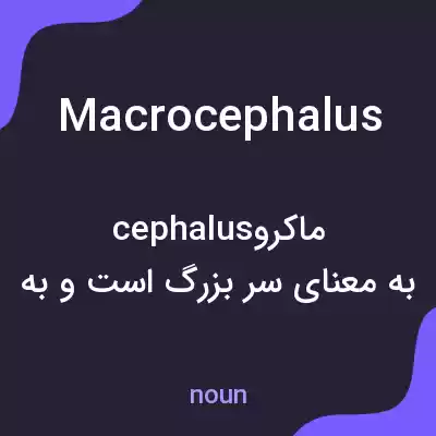 معنی macrocephalus به فارسی معنی macrocephalus به فارسی