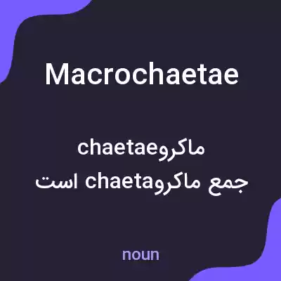 معنی macrochaetae به فارسی معنی macrochaetae به فارسی