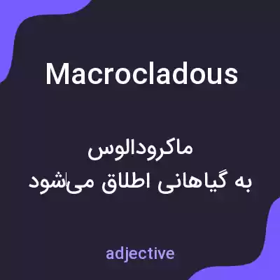 معنی macrocladous به فارسی معنی macrocladous به فارسی