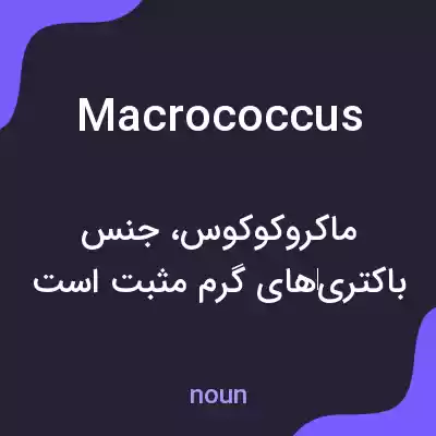 معنی macrococcus به فارسی معنی macrococcus به فارسی