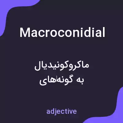 معنی macroconidial به فارسی معنی macroconidial به فارسی