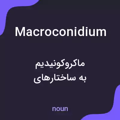 معنی macroconidium به فارسی معنی macroconidium به فارسی