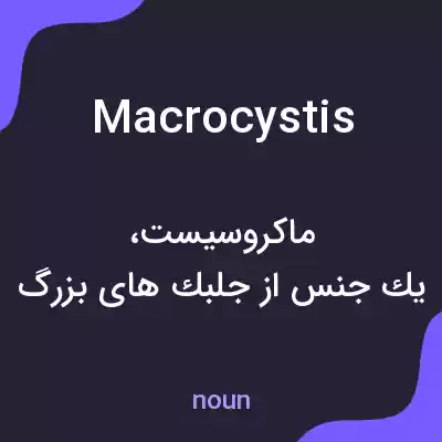 معنی macrocystis به فارسی معنی macrocystis به فارسی