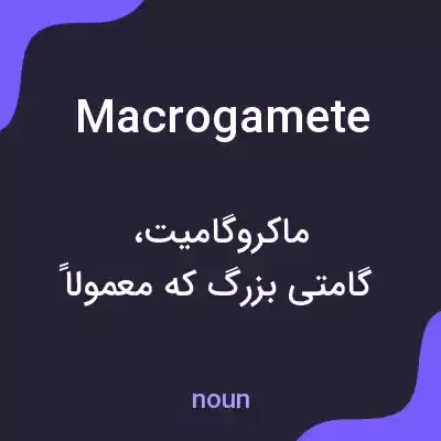 معنی macrogamete به فارسی معنی macrogamete به فارسی