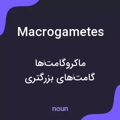 معنی macrogametes به فارسی معنی macrogametes به فارسی