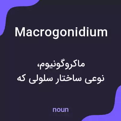 معنی macrogonidium به فارسی معنی macrogonidium به فارسی