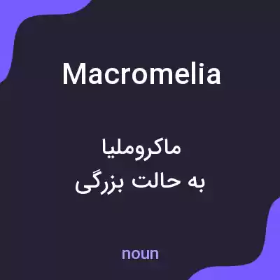 معنی macromelia به فارسی معنی macromelia به فارسی