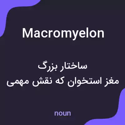 معنی macromyelon به فارسی معنی macromyelon به فارسی