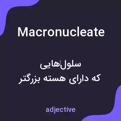 معنی macronucleate به فارسی معنی macronucleate به فارسی