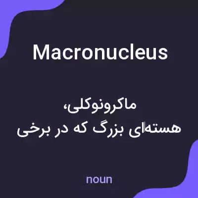 معنی macronucleus به فارسی معنی macronucleus به فارسی