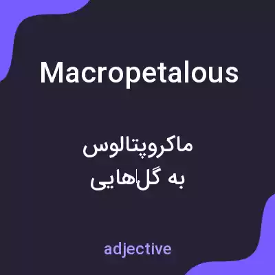 معنی macropetalous به فارسی معنی macropetalous به فارسی