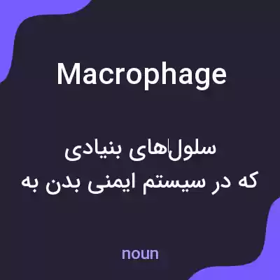 معنی macrophage به فارسی معنی macrophage به فارسی