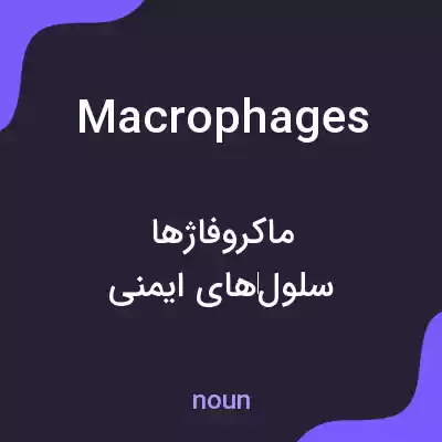 معنی macrophages به فارسی معنی macrophages به فارسی