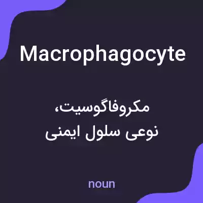 معنی macrophagocyte به فارسی معنی macrophagocyte به فارسی