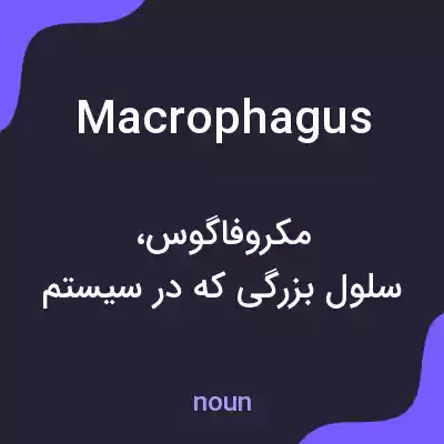 معنی macrophagus به فارسی معنی macrophagus به فارسی