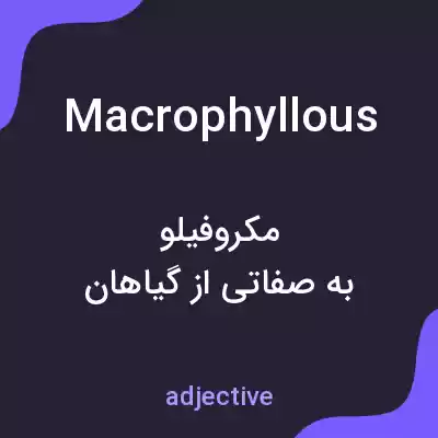 معنی macrophyllous به فارسی معنی macrophyllous به فارسی