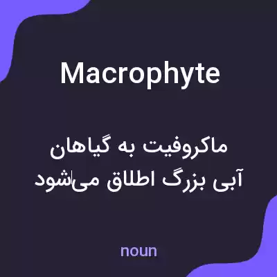 معنی macrophyte به فارسی معنی macrophyte به فارسی