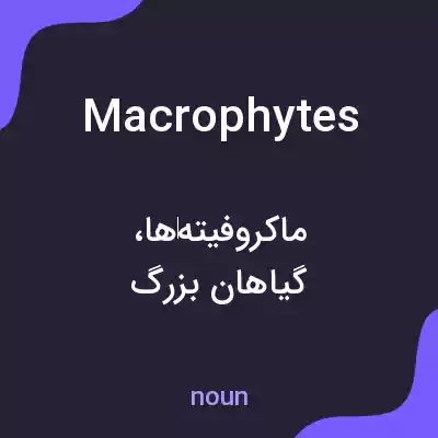 معنی macrophytes به فارسی معنی macrophytes به فارسی