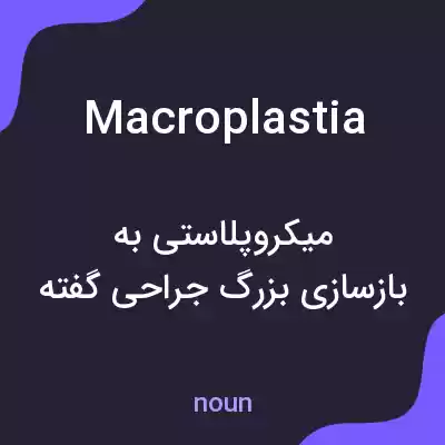 معنی macroplastia به فارسی معنی macroplastia به فارسی