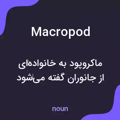 معنی macropod به فارسی معنی macropod به فارسی
