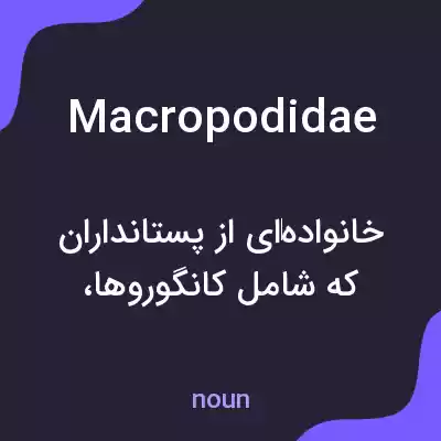معنی macropodidae به فارسی معنی macropodidae به فارسی