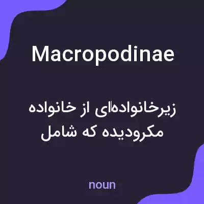 معنی macropodinae به فارسی معنی macropodinae به فارسی