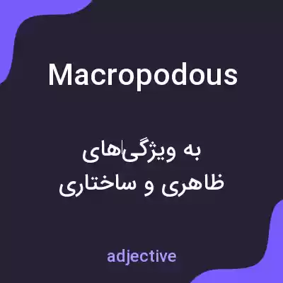 معنی macropodous به فارسی معنی macropodous به فارسی
