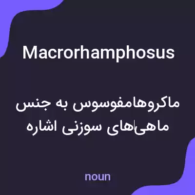معنی macrorhamphosus به فارسی معنی macrorhamphosus به فارسی