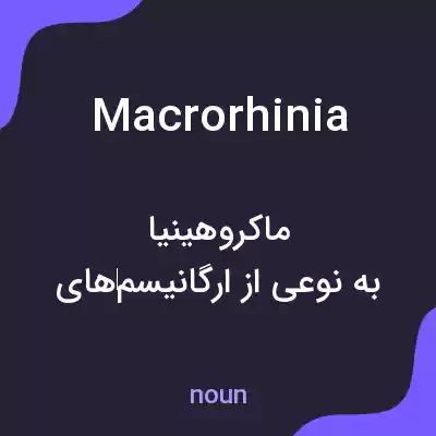 معنی macrorhinia به فارسی معنی macrorhinia به فارسی