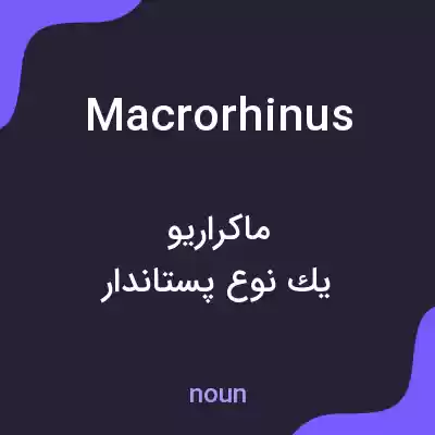 معنی macrorhinus به فارسی معنی macrorhinus به فارسی