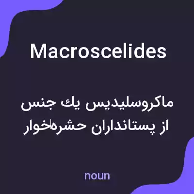 معنی macroscelides به فارسی معنی macroscelides به فارسی