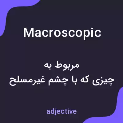 معنی macroscopic به فارسی