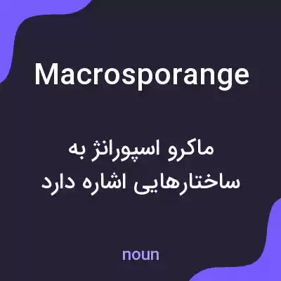 معنی macrosporange به فارسی معنی macrosporange به فارسی