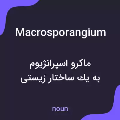 معنی macrosporangium به فارسی معنی macrosporangium به فارسی