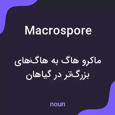 معنی macrospore به فارسی معنی macrospore به فارسی