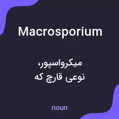 معنی macrosporium به فارسی معنی macrosporium به فارسی