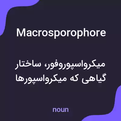 معنی macrosporophore به فارسی معنی macrosporophore به فارسی