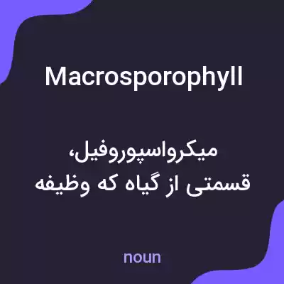 معنی macrosporophyll به فارسی معنی macrosporophyll به فارسی