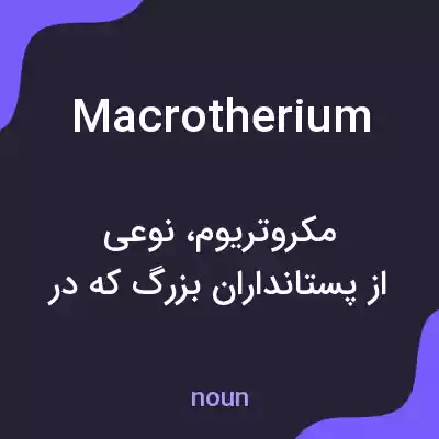 معنی macrotherium به فارسی معنی macrotherium به فارسی