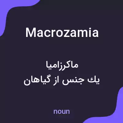 معنی macrozamia به فارسی معنی macrozamia به فارسی