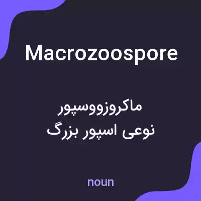 معنی macrozoospore به فارسی معنی macrozoospore به فارسی