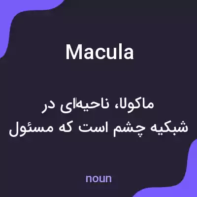 معنی macula به فارسی معنی macula به فارسی