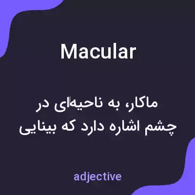 معنی macular به فارسی