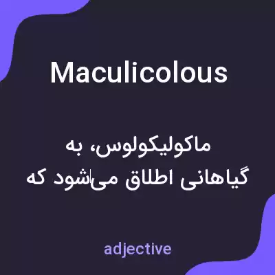 معنی maculicolous به فارسی معنی maculicolous به فارسی