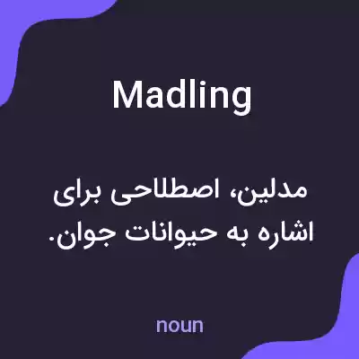 معنی madling به فارسی